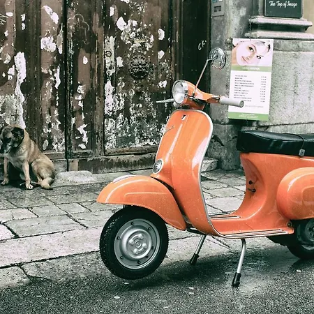 Gæstehus Vespa Palermo